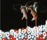 Tricky Woo : First Blush